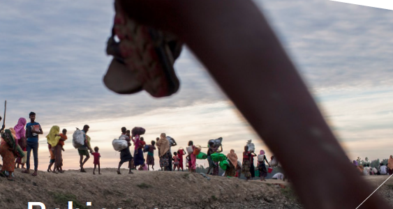 Rohingya migration to India: