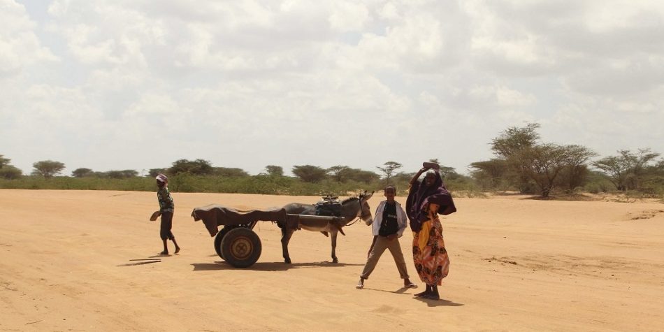 Famine’s Final Blow: Somali refugees trapped by climate, politics and fatigue
