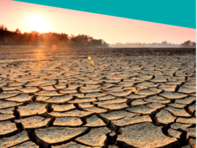 Weak links: Challenging the climate & migration paradigm in the Horn of Africa & Yemen