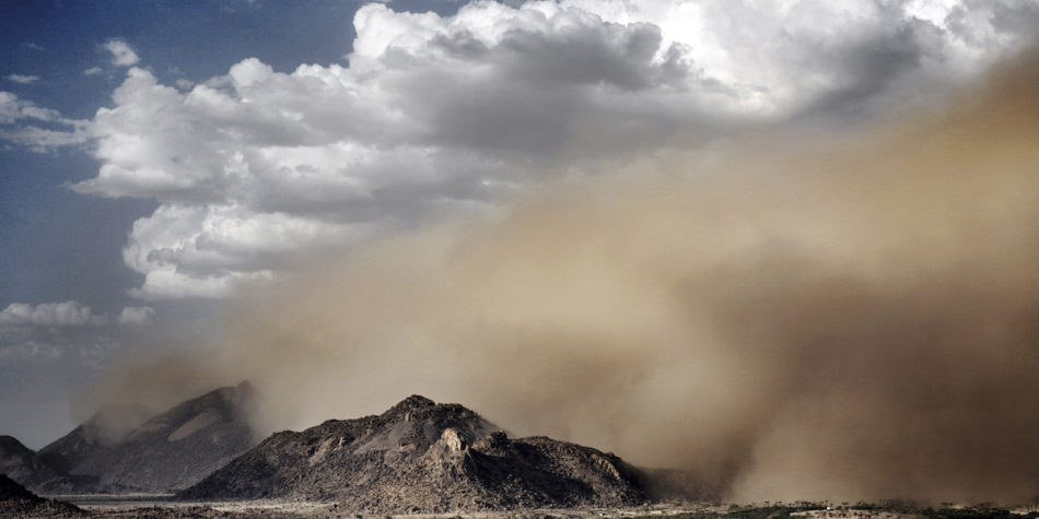 Op-Ed: Negative narratives, mistaken metaphors. The need for careful language on migration 