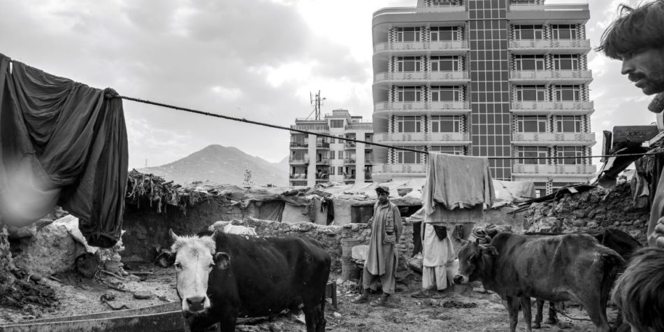 Risky cities, mean streets