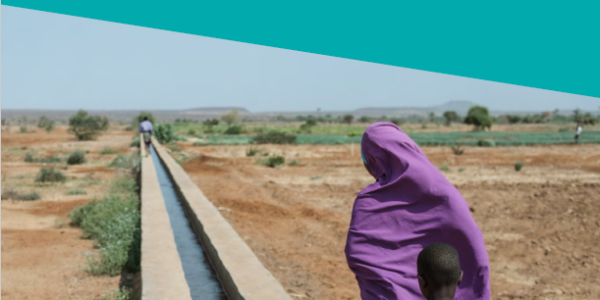 Moving on: Exploring onward migration of refugees and migrants from East Africa