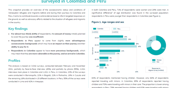 Socioeconomic backgrounds of refugees and migrants surveyed in Colombia and Peru