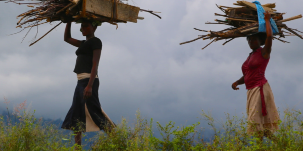 Stories of climate mobility: understanding the impacts, informing effective response