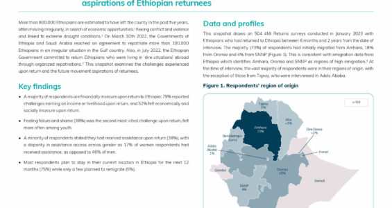 Reintegration experiences and future aspirations of Ethiopian returnees